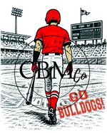 Stadium Custom Baseball