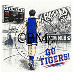 Stadium Custom Basketball