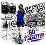 Stadium Custom Basketball