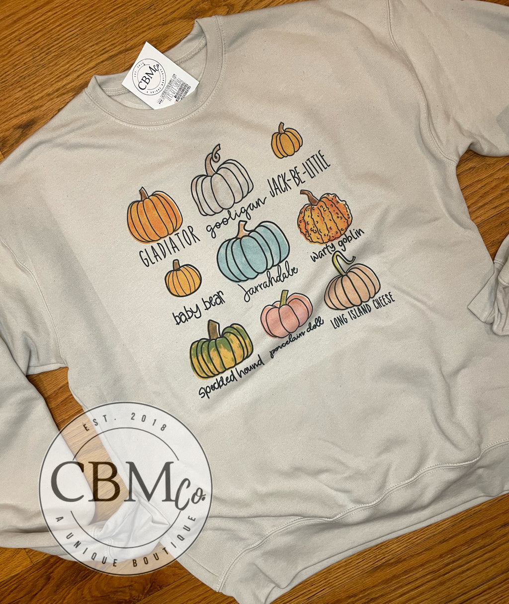 Pumpkin Sweatshirt