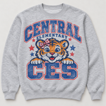 Central Fundraiser
