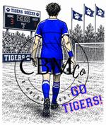 Stadium Custom Soccer