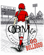 Stadium Custom Softball